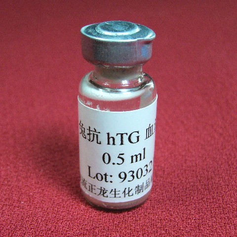 �ÿ�hTGѪ��-0.1ML