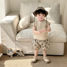 点兮婴儿套装2025新款男童小熊短袖T恤圆点短裤夏季宝宝薄款衣服