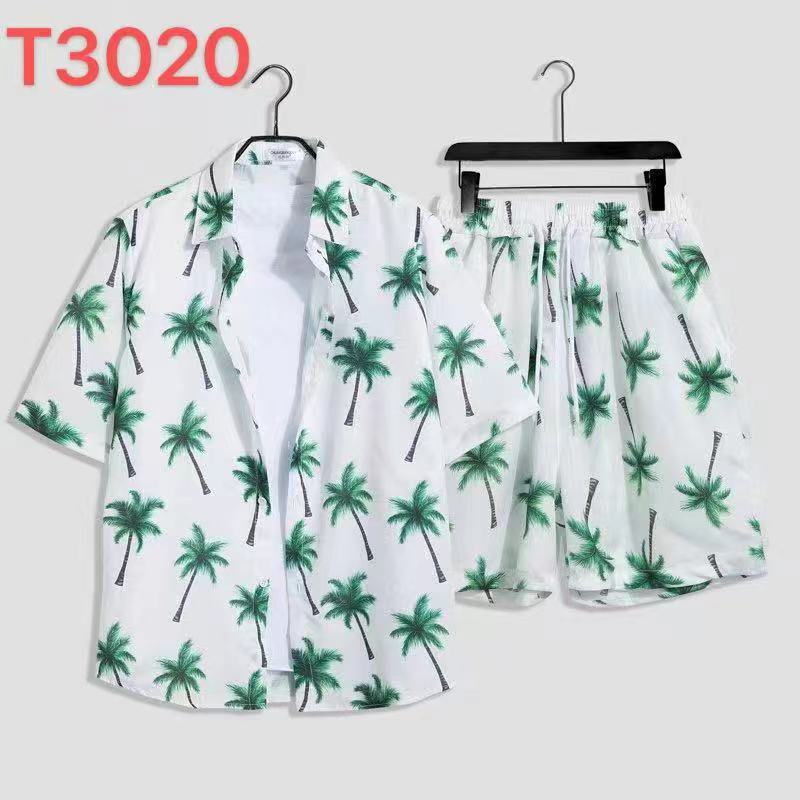사우스 T3020