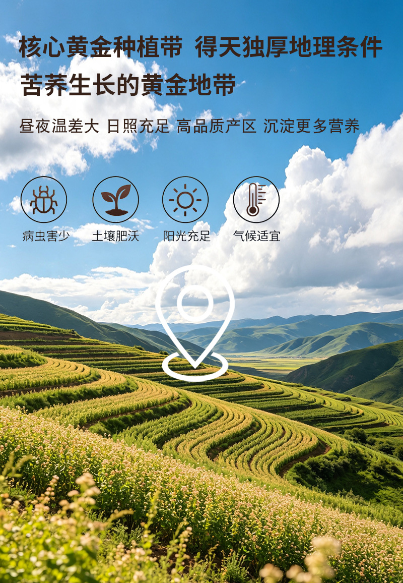 Roasted Tartary Buckwheat Powder Ku Qiao Mai Instant Drink Mix Culinary Flour 500g preparation