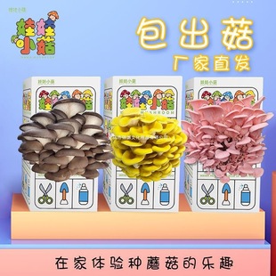 DIYĢ������Ģ���Nֲ��Ģ������ �Nֲ��ƽ�������҃ȼ�ͥ�WУ�Nֲ