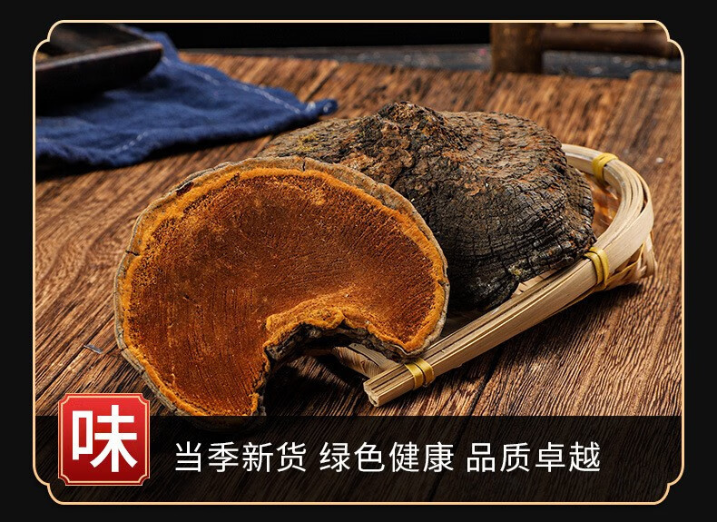 Sang Huang Phellinus Whole Dried Mushroom 500g Golden Rim Herbal Tea Ingredient quality and texture