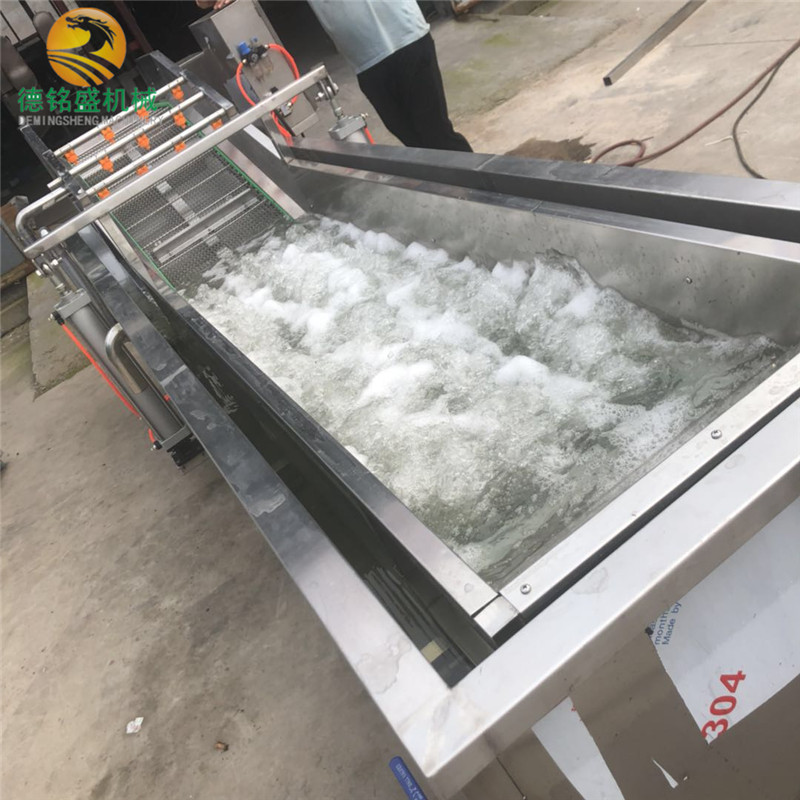 青桔气泡清洗机生产厂家 瓜子清洗设备 去农药残留白菜清洗机