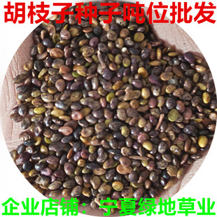 ���l��ľ������֦�ӷN�Ӷ�ɫ��֦�ӾG���G�l�N���_�����֦�ӷN��
