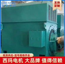 �����ѹ���YRKK6301-12 ʮ����500KW 6KV IP54 IC611��������С