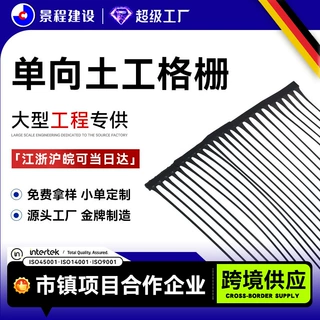 护坡HDPE土工格栅厂家高强耐拉高密度聚乙烯单向拉伸塑料土工格栅
