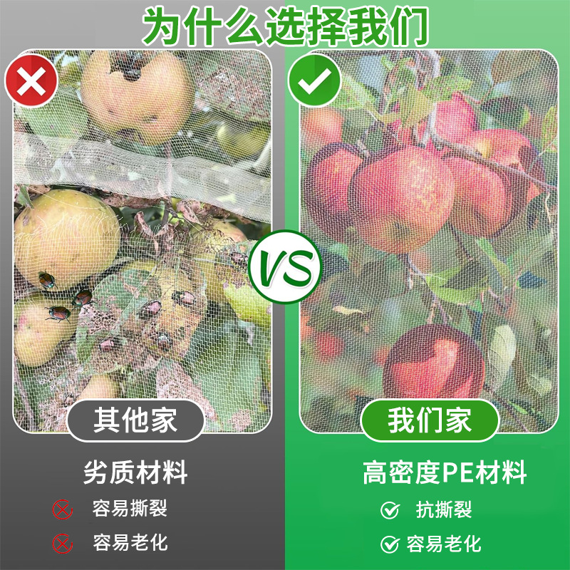 农用大棚防虫网果树花卉防虫网罩40目60目养殖围网纱网防鸟网批发
