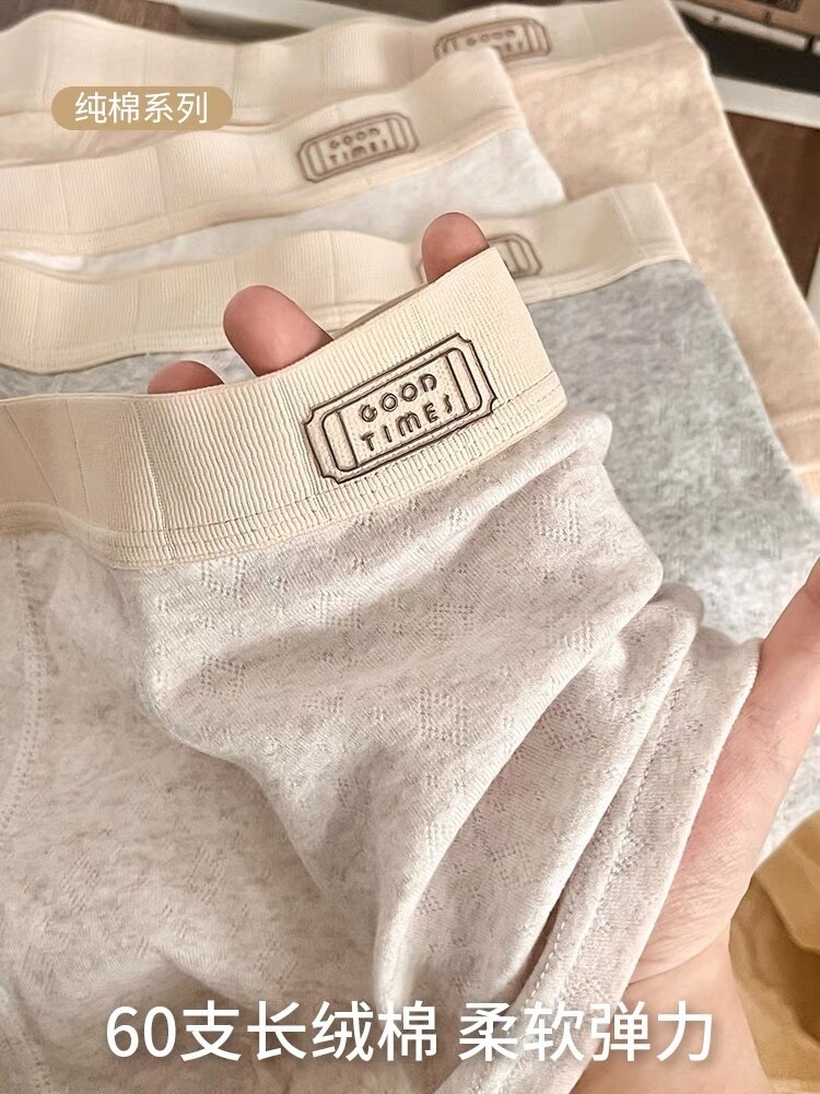 Briefs