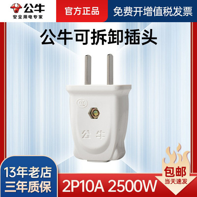GNT-10L1S 公牛正品白色电源插头二脚两孔两脚二极二角两项2脚10a