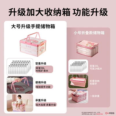 Storage Box, Car Trunk: Car storage bag/box