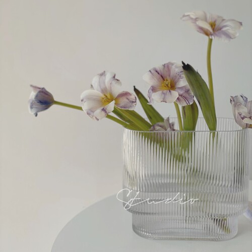 Simple vertical pattern torch glass vase large diameter hydroponics transparent decoration living room ornaments vase manufacturer wholesale