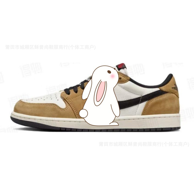 브라운 화이트 CZ0790-107