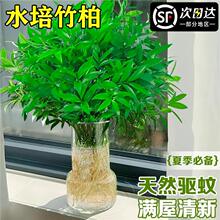 �ش����ظ����ˮ��ˮ�Bֲ��͏d�k���҃��ļ�����Gֲ����x��
