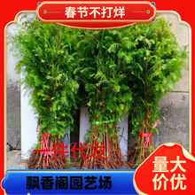 һ�����l����ˮɼ��������ɼС��ͥԺ��߅��·�r��ռ���o���ļ���