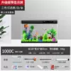 100CM fish tank with temperature display + landscaping