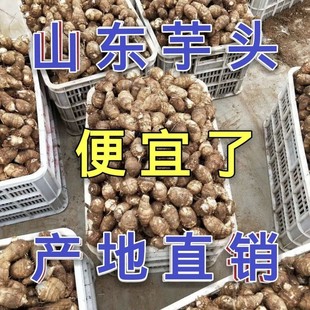 ɽ�|���rС���^ë���^����ܛ��Ŵ��ܵ�����߲˰��]���^�N���l