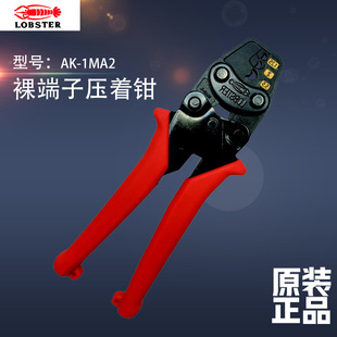 �ձ�LOBSTER�r�Ɖ����QAK1MA2ǰ��AK1MA������΢�͉��ӹ��߷ǽ^��