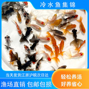 ��ˮ�~�\���~�^�p�~С�͵�ˮ���B�ͻ���ˮ�~������С���~���B�ͻ�