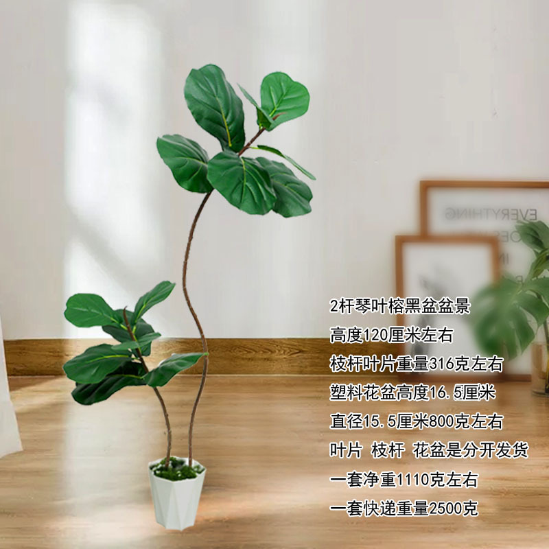 Plantas de simulación bonsai decoración interior y exterior plantación verde plantación de bambú simulación de plantación en maceta plantación de dormitorio plantación de suelo image 7