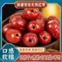 若羌新疆无核定制灰枣