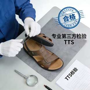 �z�ЬƷ���R�d���v�|�z���TTS�Ӽ����ߙ����C���z�inspection