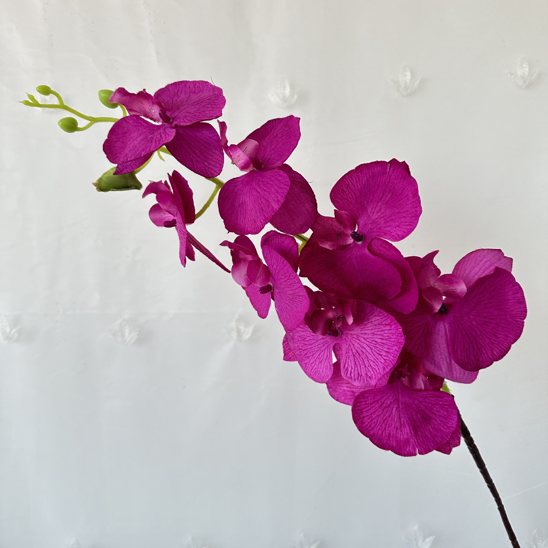 Los fabricantes suministran flores secas simuladas en la sala de estar, flores de jarrón, tela de pelo de ocho cabezas, plantas de simulación de Phalaenopsis, adornos de flores secas