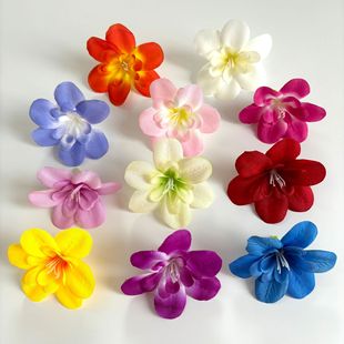 �����m���^ ���m���^�Ƶ�͏d�c�Y����ˇ�b�С�[�������^��