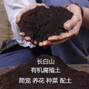 ֲ������������B���N��ͨ�����ЙC�I�B�����Լ��÷Nֲ�����l���]