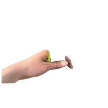 �m������t���緬�����}Ů�����������߲�������������������ˮ��