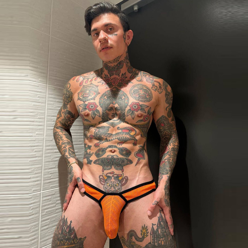 ADANNU European and American men's underwear sexy independent convex bag briefs mesh solid color bikini underpants