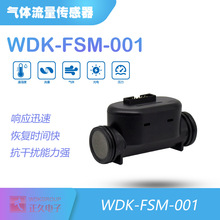 WDK  WDK-FSM-001  ¶ȴģ