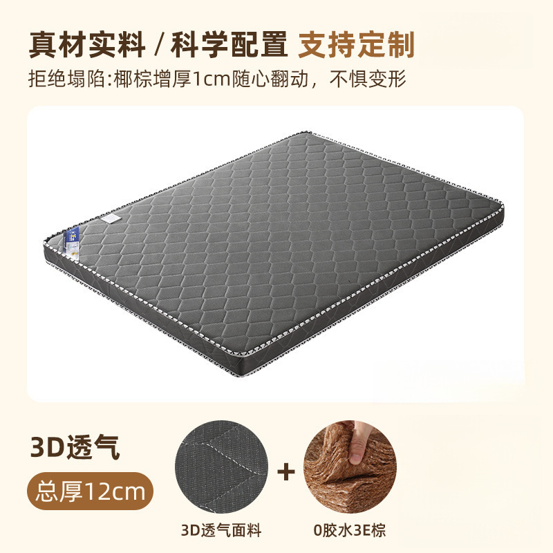 12cm3D 통기성(0 접착제 3E 코코넛 야자) 접이식 모델