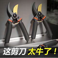 园林工具修枝剪盆景园艺剪修剪树枝剪刀花艺剪刀省力大粗枝剪批发