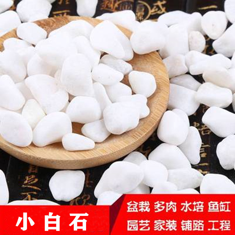 批发白石子白色砾石白色洗米石枯山水白色石子多肉铺面小白石|ms