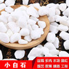 批发白石子白色砾石白色洗米石枯山水白色石子多肉铺面小白石|ru