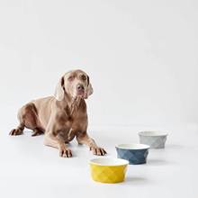 好彩头 Eiby狗碗 陶瓷碗猫狗喂食圆形宠物食盆新款创意宠物陶瓷碗