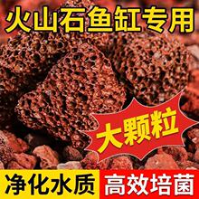 火山石颗粒垫底古法养鱼造景兰花专用多肉铺面石透气鱼缸火山岩