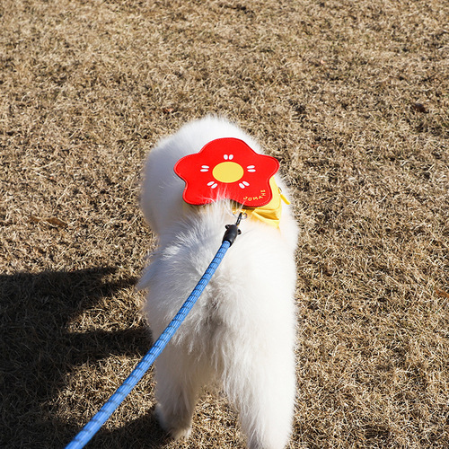 Pet bag, pet backpack, dog bag, dog walking snack bag, mini bag, can be hung with a traction rope