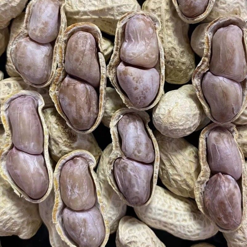 【茹でた落花生・天日干し】龍岩茹で落花生・ニンニク風味落花生・五香落花生・茹でた塩味落花生・塩干し落花生|undefined