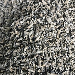 �ك���ľ�� �S���N�� ���ڃ��N�Կ�2021������؛ �����ľ��