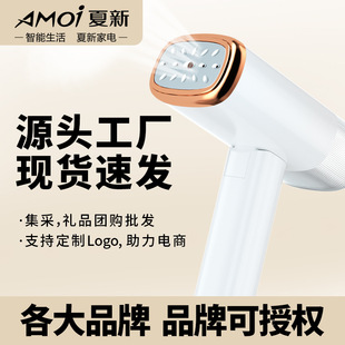 New Portable Mini Foldable Household Small Steam Iron Machine Live Broadcast Handheld Garment Ironing Machine Event Wholesale