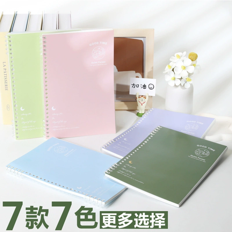 Съемный ноутбук B5 переплет