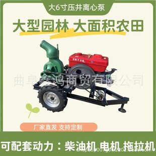 ��6�牺���x�ı� Ƥ�������m����̈́��� �r�����e��� �����ŝ�