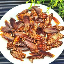 ���100�˰��] ���� ���޴�� ����� ����x�� �����