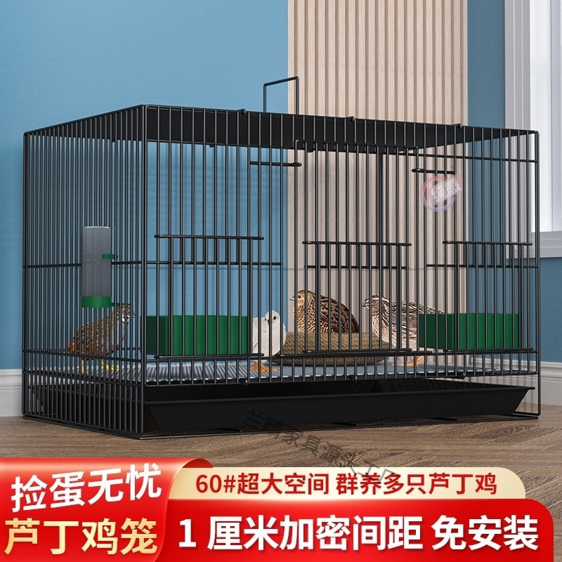 0f1b13ac-8575-450e-b452-456887020f42.jpe