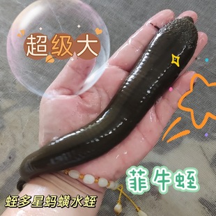 Ұ����ѪΛ�ˮ�λ��w���挙��ɷ�ţ�΃��ɷۺ�ɕ��Ѫͨ�ܺ�؛