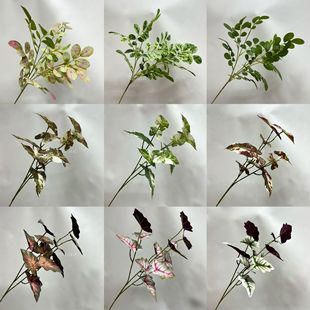 ��ӡ3D������~ ����Gֲˮ�����T�~����ֲ��ֲ����^�~�Ҿ�