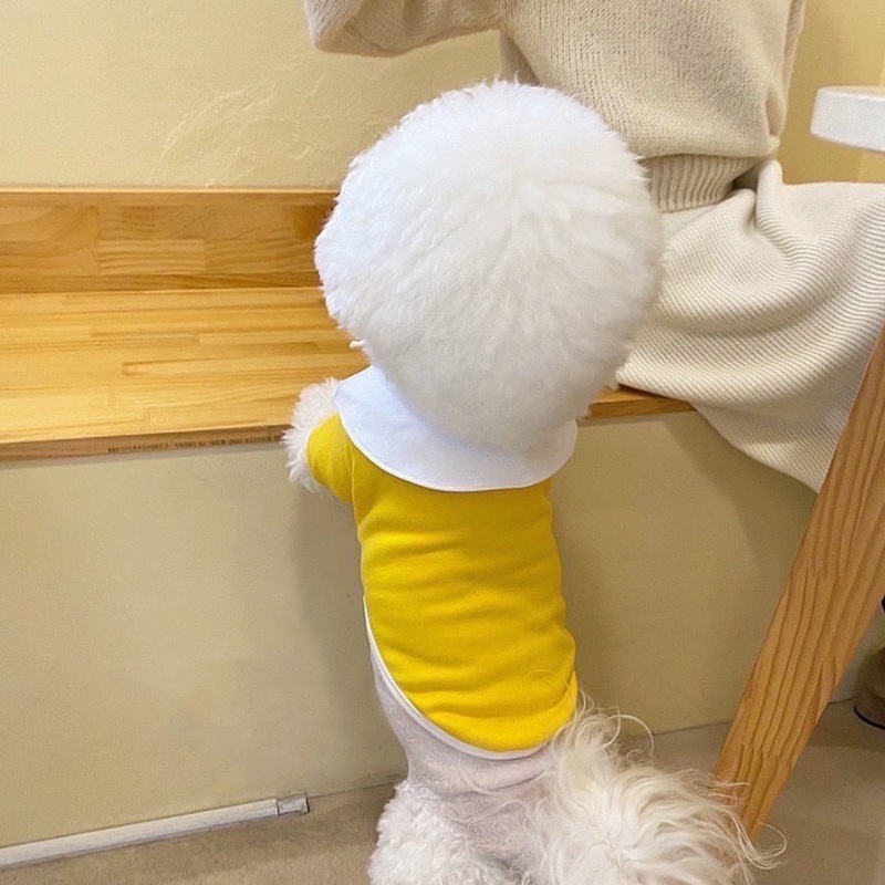 狗狗四脚衣服秋季比熊博美贵宾宠物猫咪小型幼犬泰迪睡衣秋冬装|undefined