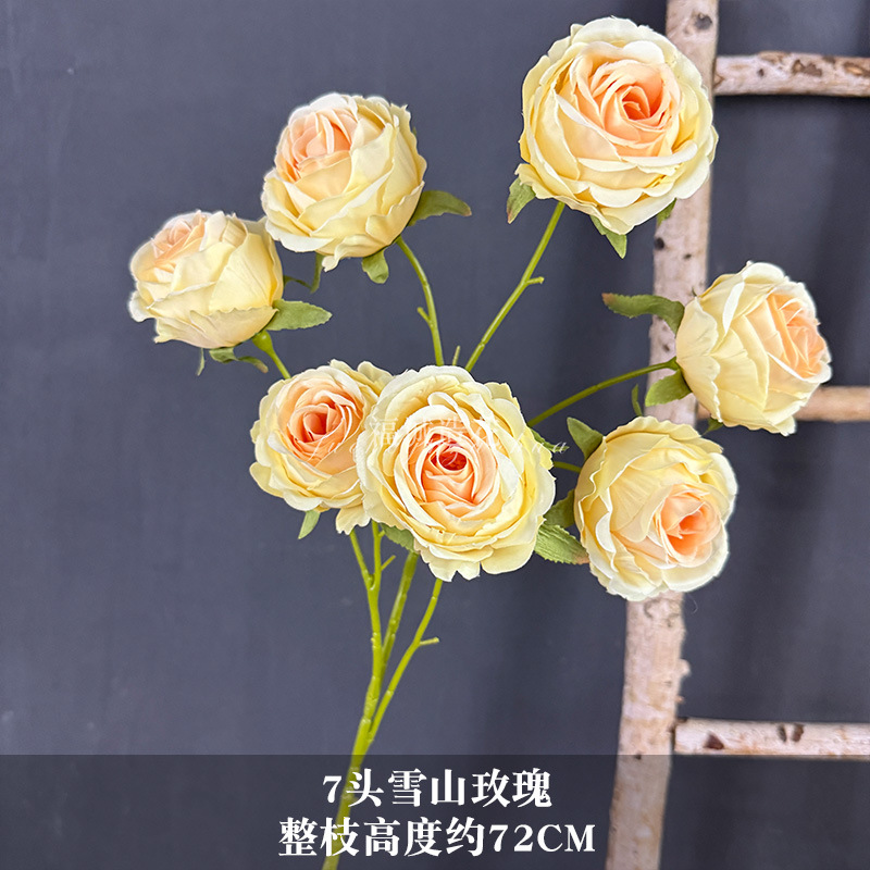 7송이 설산 장미