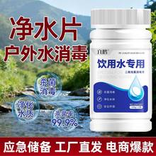 应急储备饮用水消毒片六鹤户外净水片水井水塔消毒片贴牌定制OEM